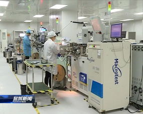 緊扣一體化，推動高質量 晶科微電子的全方位深層次接軌上海之路